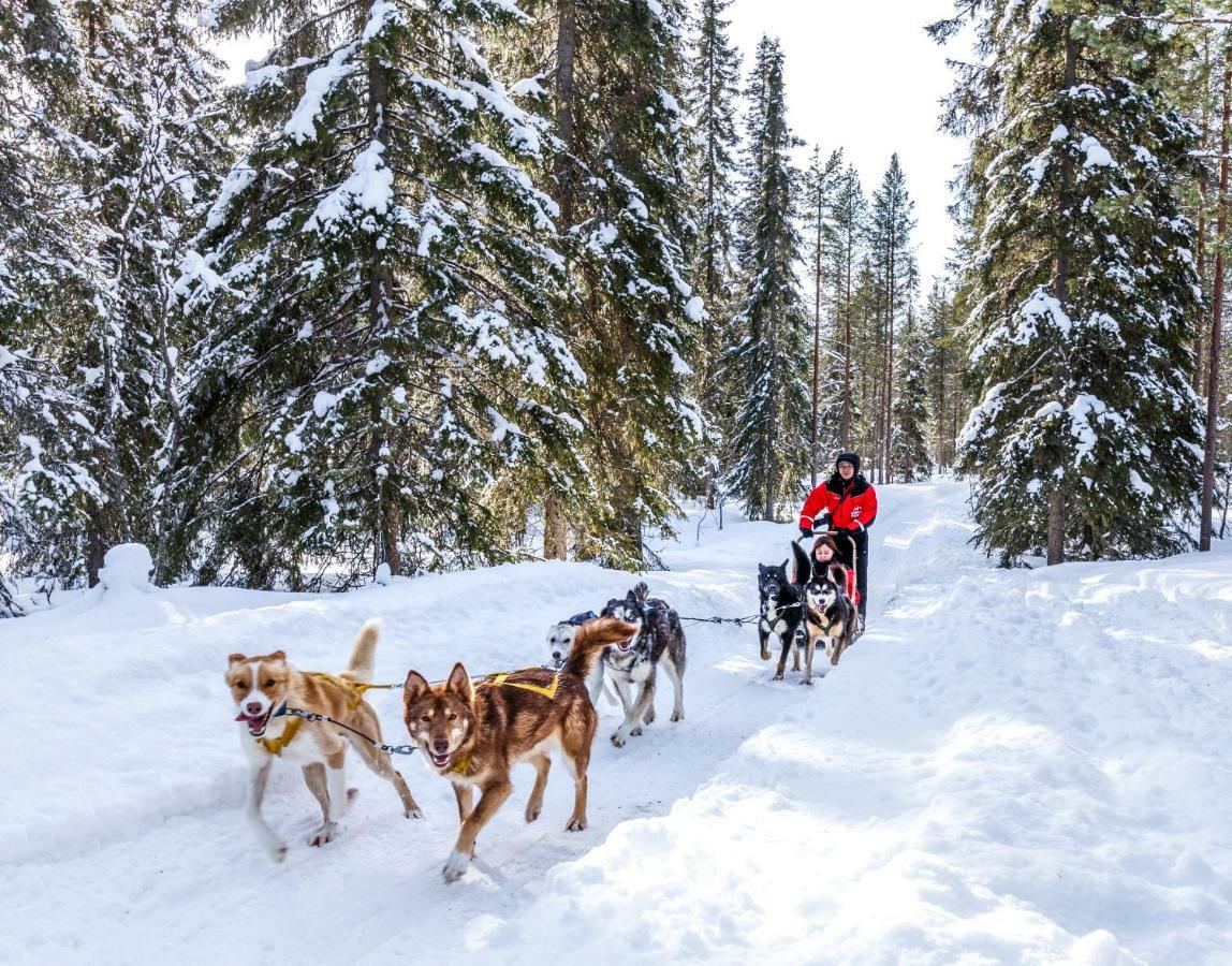 Lapland Hotels Bear'S Lodge Sinettä المظهر الخارجي الصورة